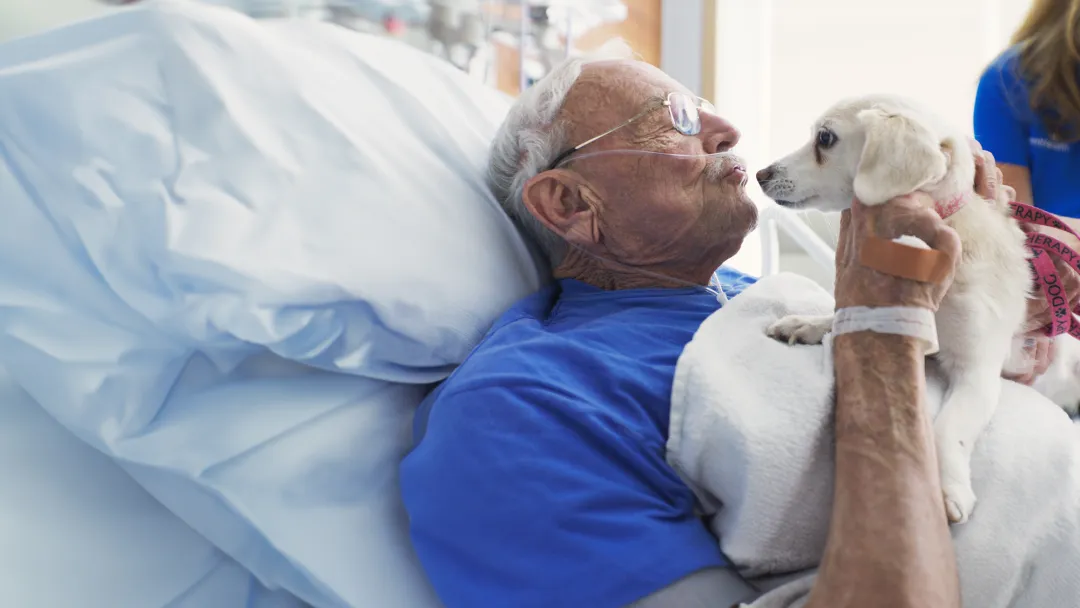 A Senior Man Kisses a Dog From His Hospital Bed.