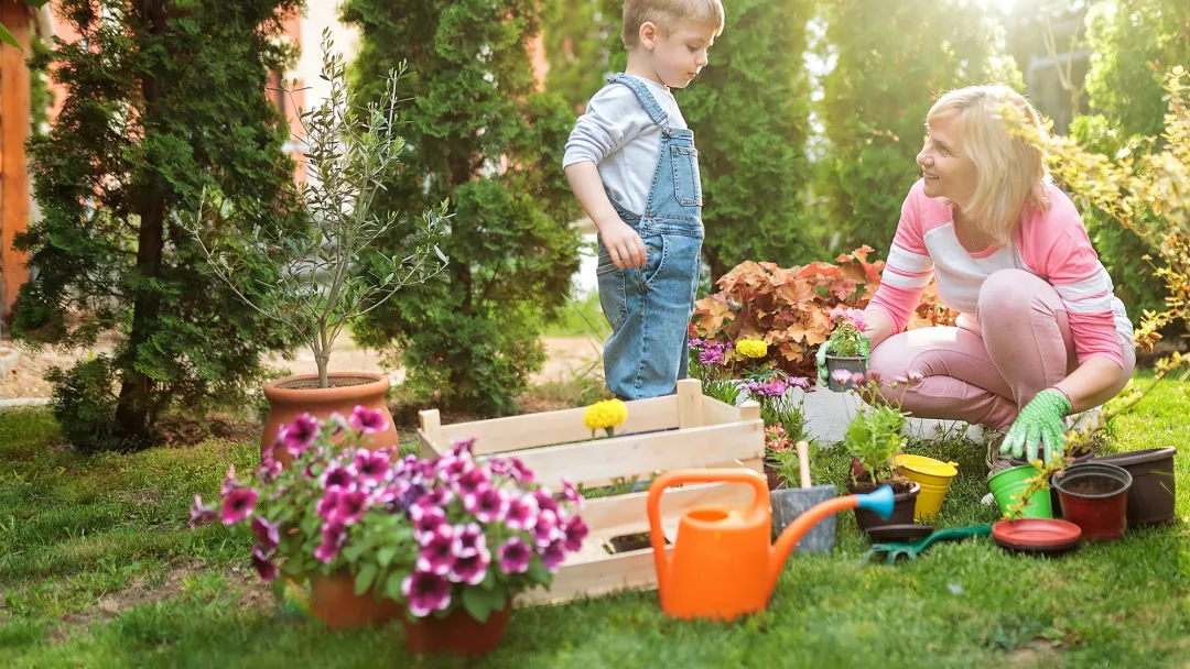 Grandmother and grandson gardening in a backyard.