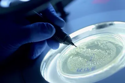AdventHealth - Stay Well Ahead: Advanced Research