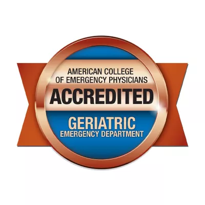 GEDAP Bronze logo