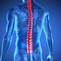 spine_minimally_invasive