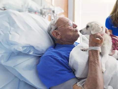 A Senior Man Kisses a Dog From His Hospital Bed.