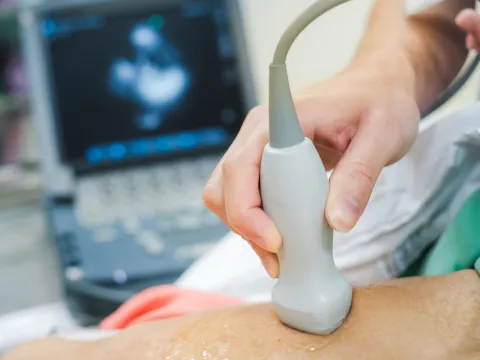Person performing echocardiogram