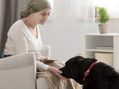 Hospice patient petting a black Labrador Retriever for comfort
