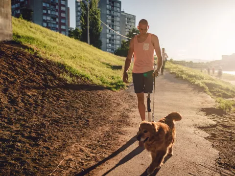 A young adult walking his dog on a sunny day