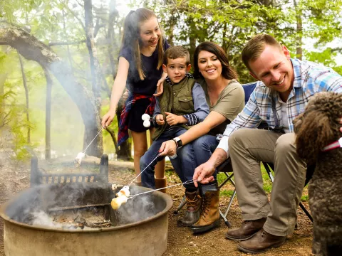 A Family Roasts Marshmallows by a Camp Fire with the Family Dog.