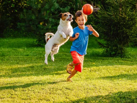 Kid playing with dog outside