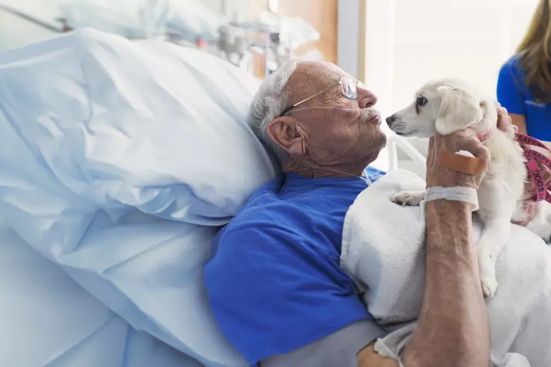 A Senior Man Kisses a Dog From His Hospital Bed.