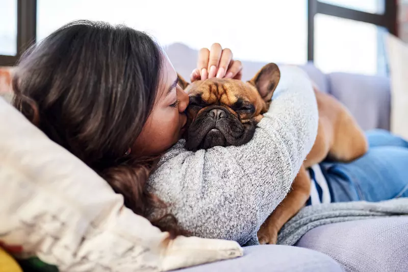 Woman laying on a couch hugging and kissing her fawn colored french bulldog