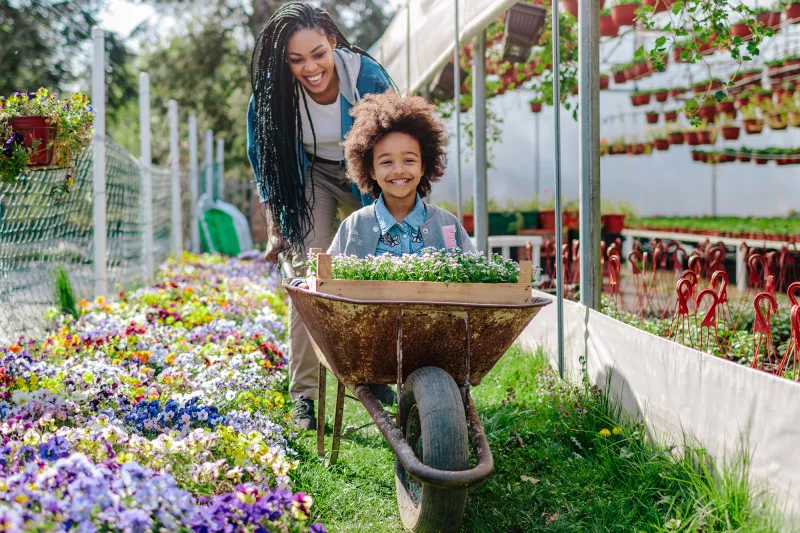 A little girl is pushed in a wheelbarrow by her mom through a garden/green house