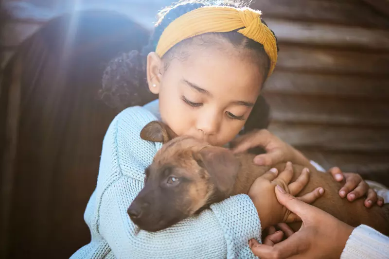 A Little Girl Kisses a Puppy on the Top of His Head