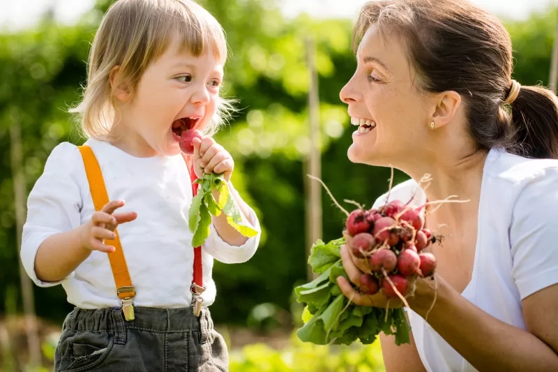 A happy child eats a raddish as a snack in the garden.