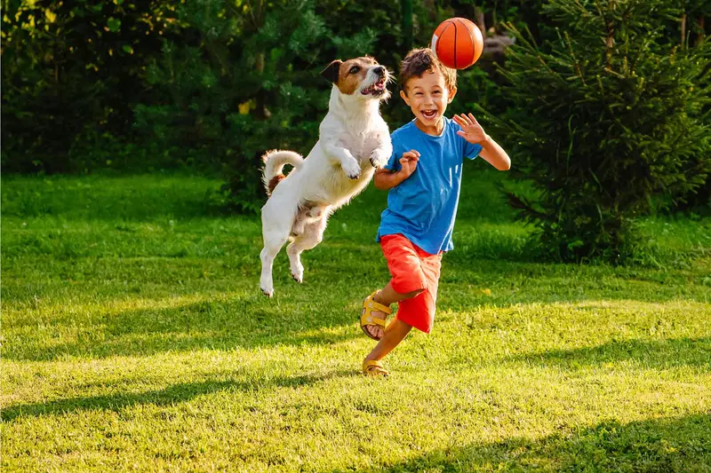 Kid playing with dog outside