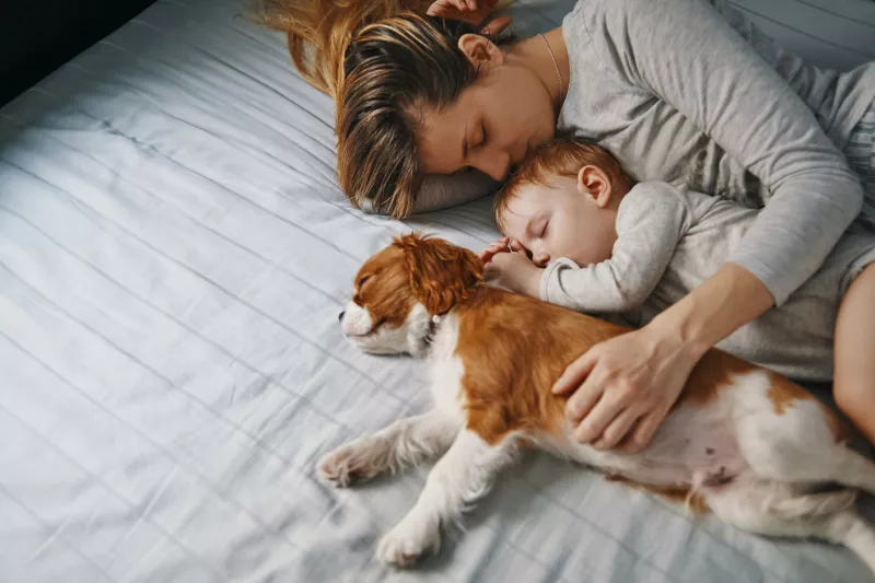 Sleep Secrets