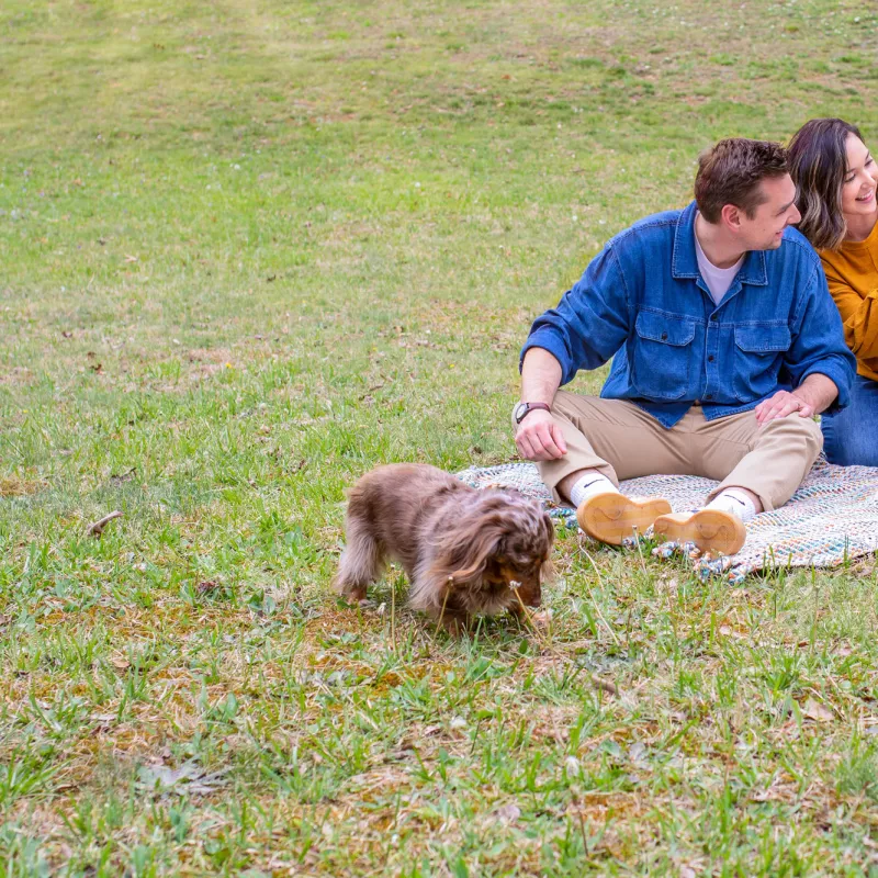 Family playing in yard together.