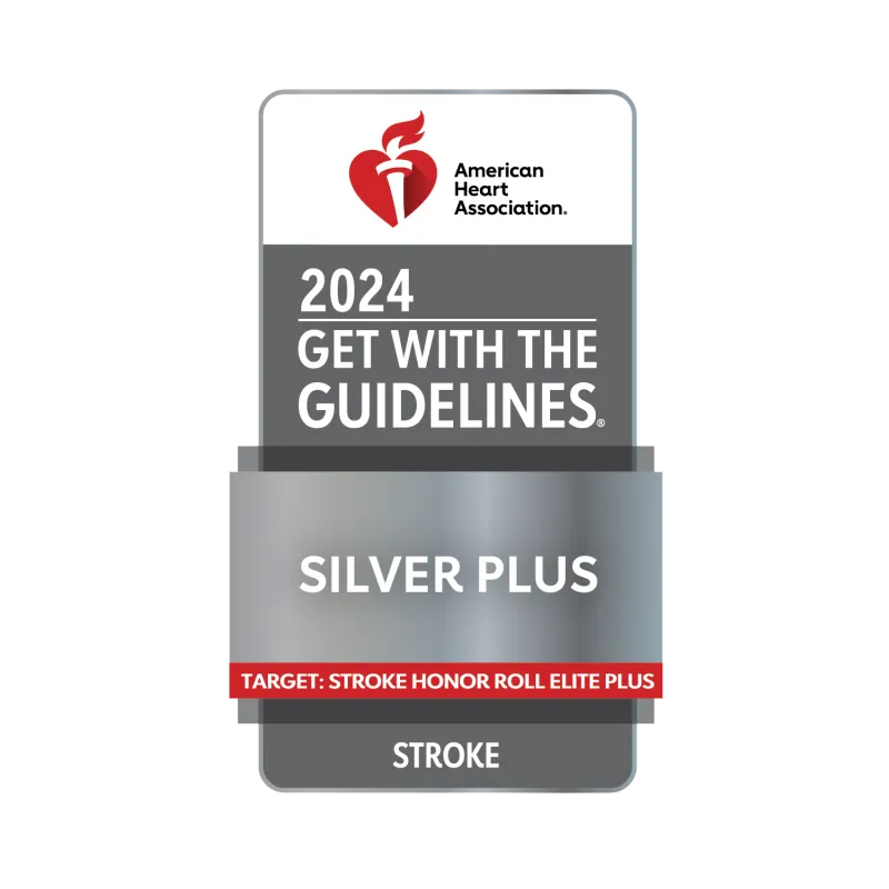 2024 American Heart Association Get With the Guidelines Silver Plus for Stroke badge.