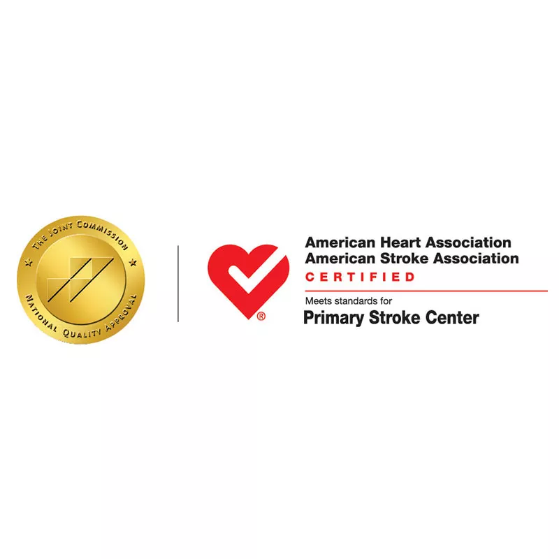 Primary Stroke Center Designation logo.