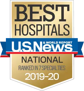 National US News Badge